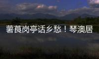 薯莨岗亭话乡愁！琴澳居民共绘客家风情画卷