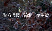 警方通报“渝北一学生被人贩子针扎后昏迷”：嫌疑人已被刑拘