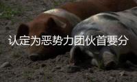 认定为恶势力团伙首要分子！95岁离休干部获刑五年