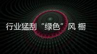 行业猛刮“绿色”风 橱柜企业如何把握发展新契机?
