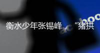 衡水少年张锡峰，“猪拱白菜”之后