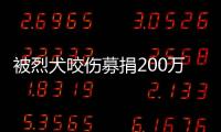 被烈犬咬伤募捐200万争议：医院称未开证明，轻松筹称家属自估金额