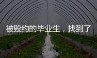 被毁约的毕业生
	，找到了更好的工作丨记者手记