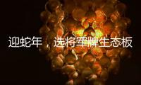 迎蛇年，选将军牌生态板，共筑健康环保家居梦