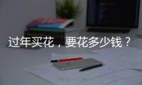 过年买花�
，要花多少钱？｜春节账单③