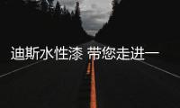 迪斯水性漆 带您走进一个绿色环保的清新世界