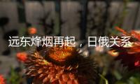 远东烽烟再起
，日俄关系为何再度紧张�？丨智库视点