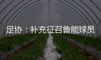 足协�：补充征召鲁能球员刘洋入选国足集训名单