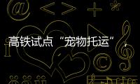 快排公司十年历程，霸屏兔 seo 的崛起与坚守