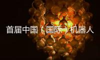 首届中国（国际）机器人辩论大赛启幕
，团队报名通道开放