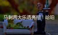 马刺两大乐透亮相

！哈珀放话冲最佳新秀奖 首训看到邓肯波波马努