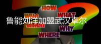 鲁能刘洋加盟武汉卓尔 签约三年转会费350万
