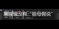 黑猩猩没有“祖母假说”模式�
	？