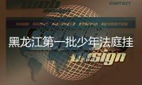 快排公司十年历程，霸屏兔 seo 的崛起与坚守