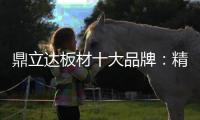 鼎立达板材十大品牌�：精品滑轨火热上市