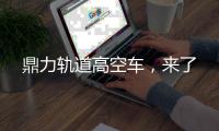 快排公司十年历程，霸屏兔 seo 的崛起与坚守