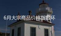 6月大宗商品价格指数环比上涨0.5%
，市场运行稳中有进