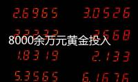 8000余万元黄金投入研发后“不知去向”
，咋回事？