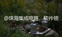 @珠海集成电路、软件领域相关企业，这份AI技术供应表请填报