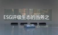 快排公司十年历程，霸屏兔 seo 的崛起与坚守