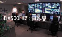 快排公司十年历程，霸屏兔 seo 的崛起与坚守