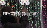 FIFA官网称赞帕尔默
：在世俱杯重新找回状态
	，成为进攻多面手