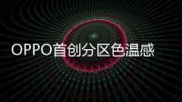 快排公司十年历程，霸屏兔 seo 的崛起与坚守