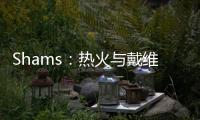 Shams�：热火与戴维恩
