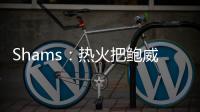 Shams：热火把鲍威尔视作和希罗&阿德巴约长期搭档的合适人选
