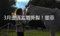 3月遭遇盂唇撕裂！墨菲谈恢复：已进行技术训练 在等身体对抗许可