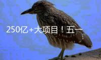 250亿+大项目
！五一邀你继续参与