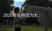 2020年生存压力大	
，中国管业有什么好的对策?