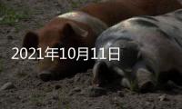 2021年10月11日，外交部新闻发言人赵立坚主持例行记者会答问澳门月刊记者