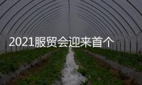 快排公司十年历程，霸屏兔 seo 的崛起与坚守
