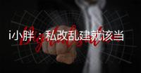 快排公司十年历程，霸屏兔 seo 的崛起与坚守