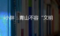 i小胖：青山不容“文明之垢”
