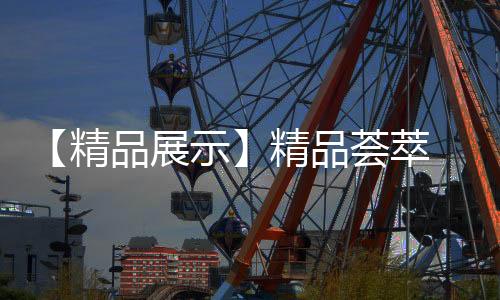 团年围绕各自的新产关注点