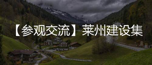 应用场景等展开深入交流