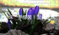 “珠”梦绿茵！面向全珠海，征集足球相关作品�！