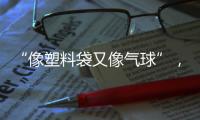 “像塑料袋又像气球”	，有毒别碰！珠海也出现了