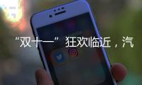 “双十一”狂欢临近�
，汽车照明企业绝不可抛诚信