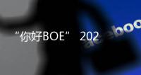 “你好BOE” 2025首站�！超酷现场等你来看