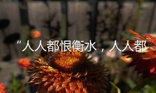 衡水上不完的人人人人网课