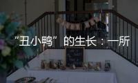 “丑小鸭”的生长：一所学校防治青少年抑郁的探索与思考