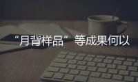 “月背样品”等成果何以入选
？专家解读“中国科学十大进展”