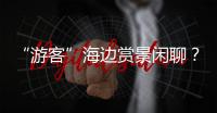 “游客”海边赏景闲聊？可能是间谍乔装刺探军情