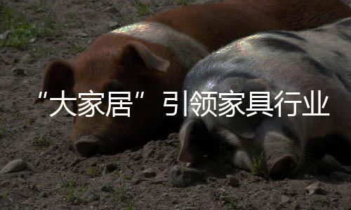 盒子
、行业现下只会越演越烈