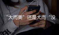 “大而美”还是大而“没”
？