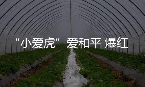 都金消灾降福”的小爱虎神力