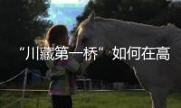 “川藏第一桥”如何在高地震烈度区和“12级大风”中屹立？